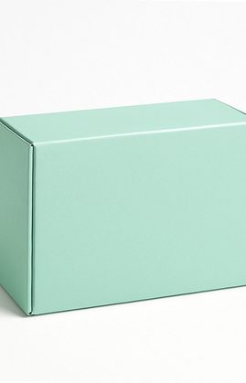 ARNICA COMP POMATA 50GR HEEL
