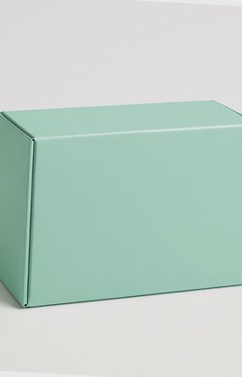 HIRUDOID-40000 Crema 50g